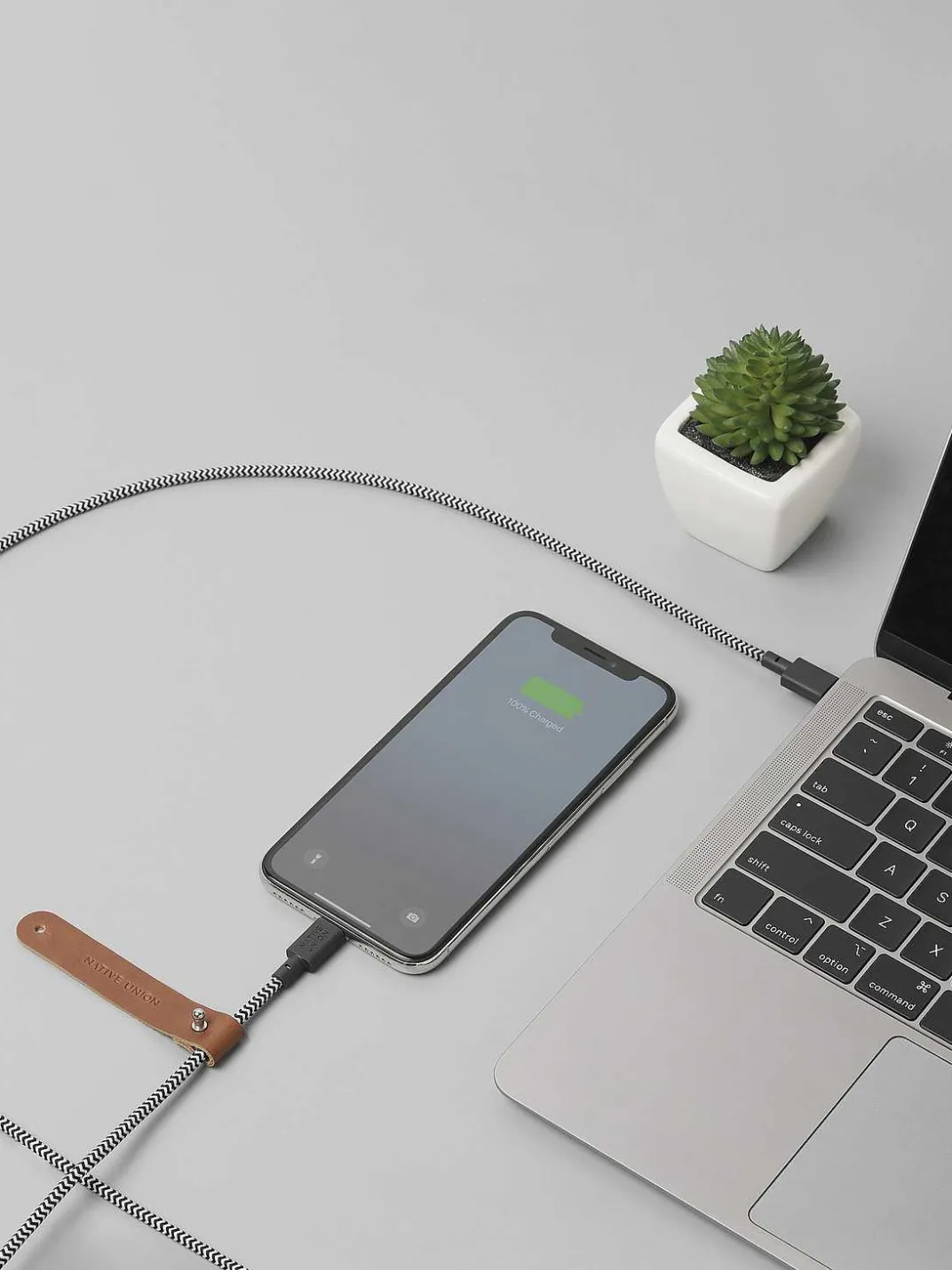 Belt Cable<PEDRO Best