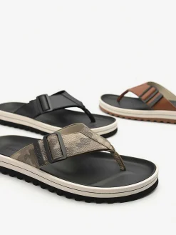 George Thong Sandals<PEDRO Outlet