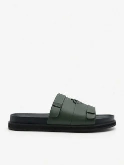 Icon Slides<PEDRO Clearance